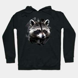 Raccoon Geometric Portrait Hoodie